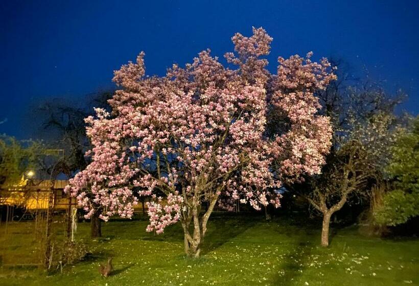 ペンション Château De Chatenay   Macon