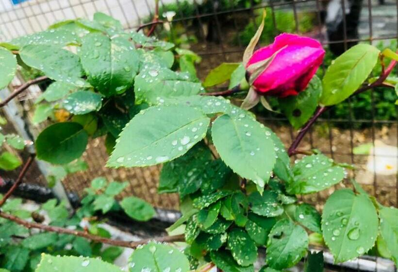 ペンション Far West