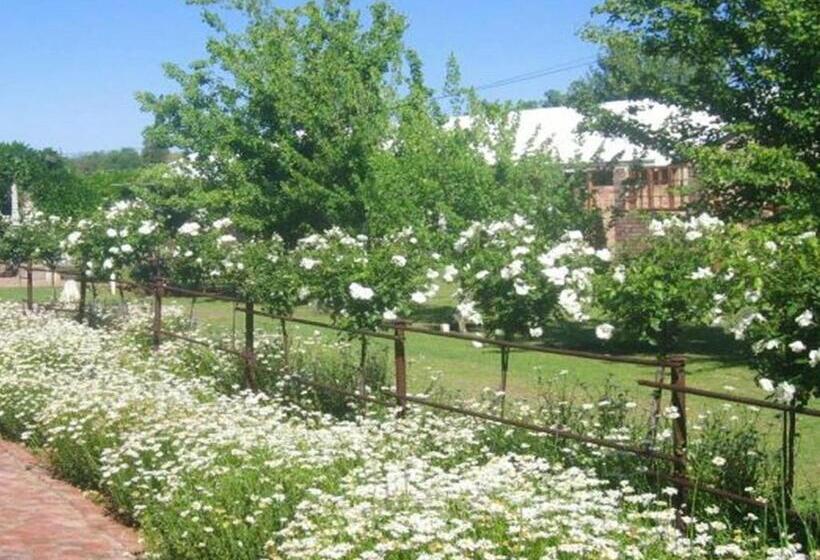 بنسيون Gracias Guest House