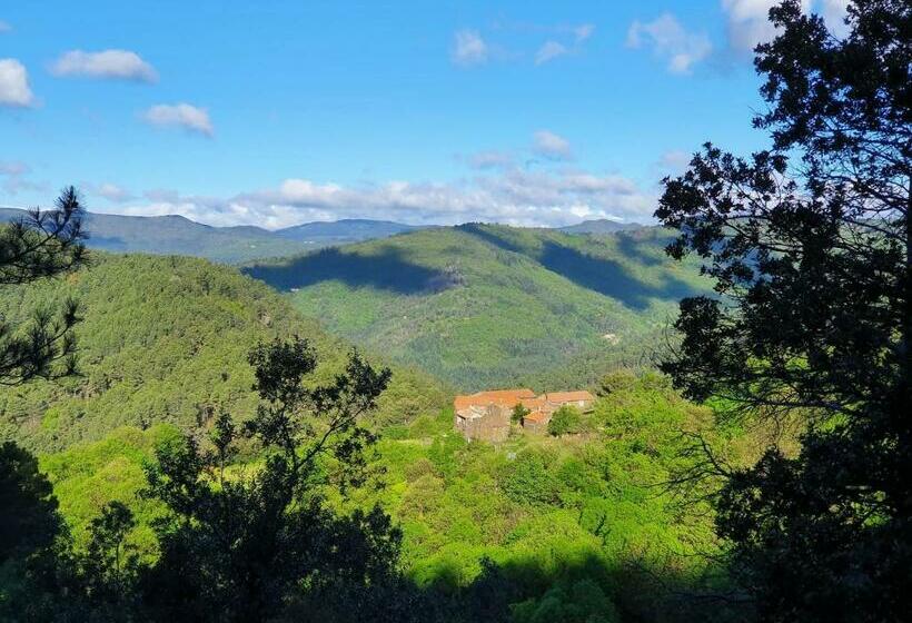 بنسيون Lou Rey éco Hameau   Gîte, Chambre D Hôtes & Table D Hôtes