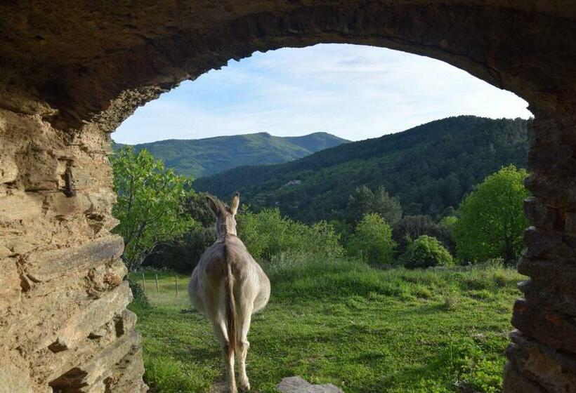بنسيون Lou Rey éco Hameau   Gîte, Chambre D Hôtes & Table D Hôtes