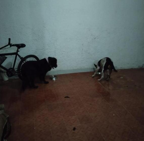 פנסיון Mini Hostal Cultural De Mazatlán