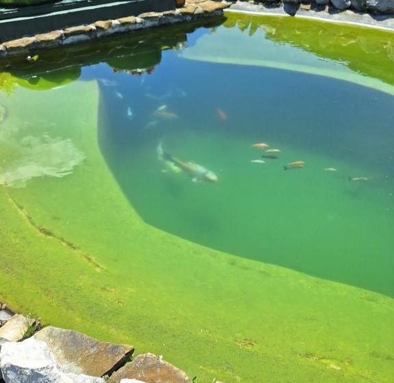 بنسيون Natural Balkanic Selfcheckin Self Catering