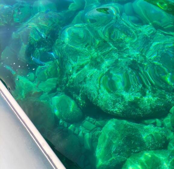 ペンション Tenuta Di Venere