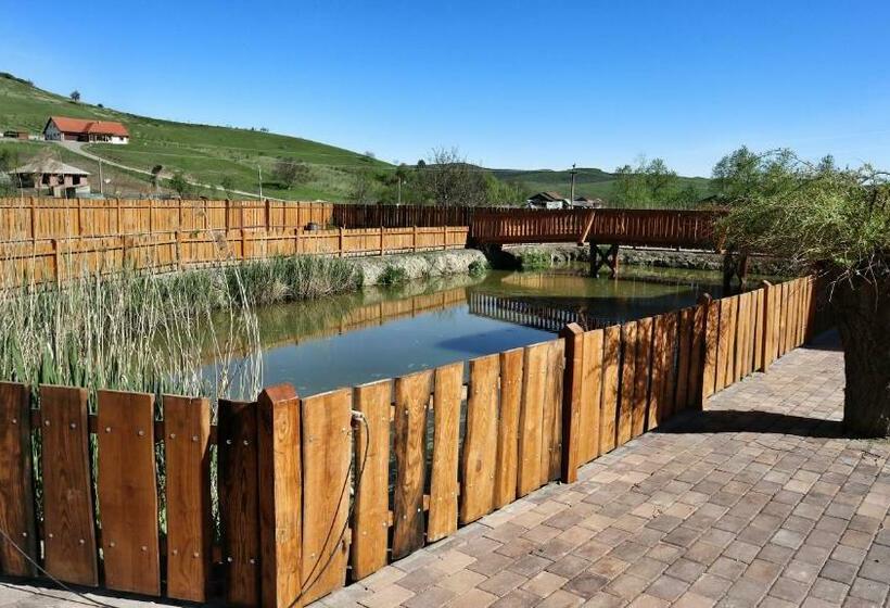 Pensiunea Nádas Panzió