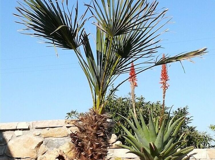Agriturismo Agave