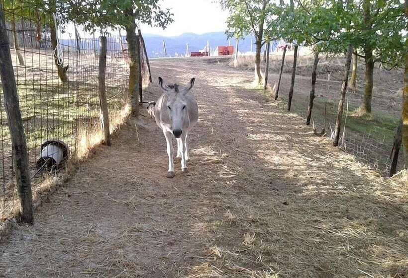 Agriturismo Il Castelluccio