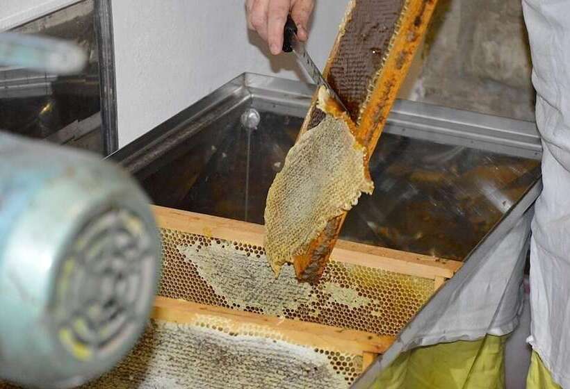 Agriturismo Il Castelluccio