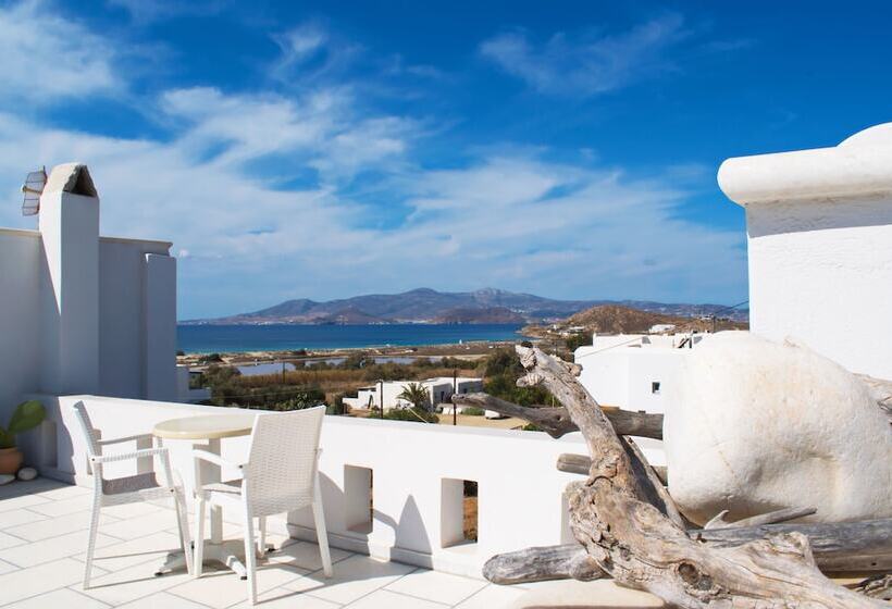 Bed and Breakfast Camara