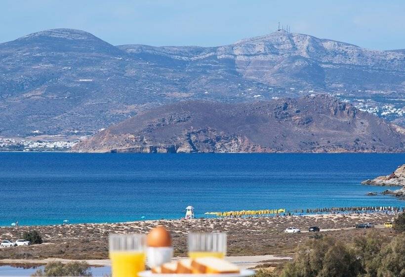 Bed and Breakfast Camara