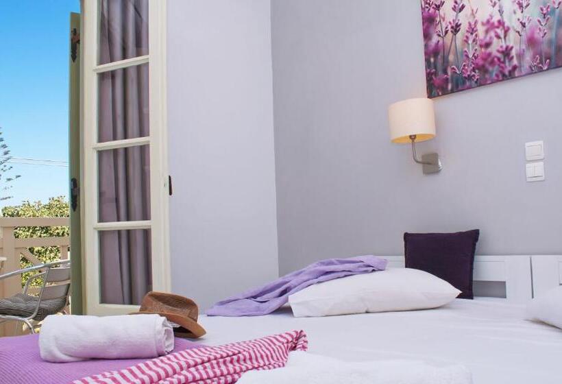 Bed and Breakfast Camara