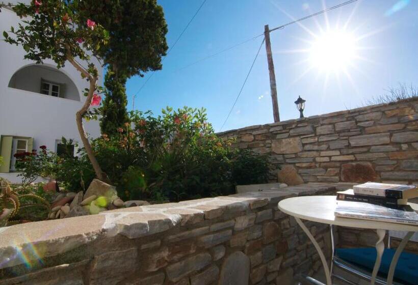 Bed and Breakfast Camara