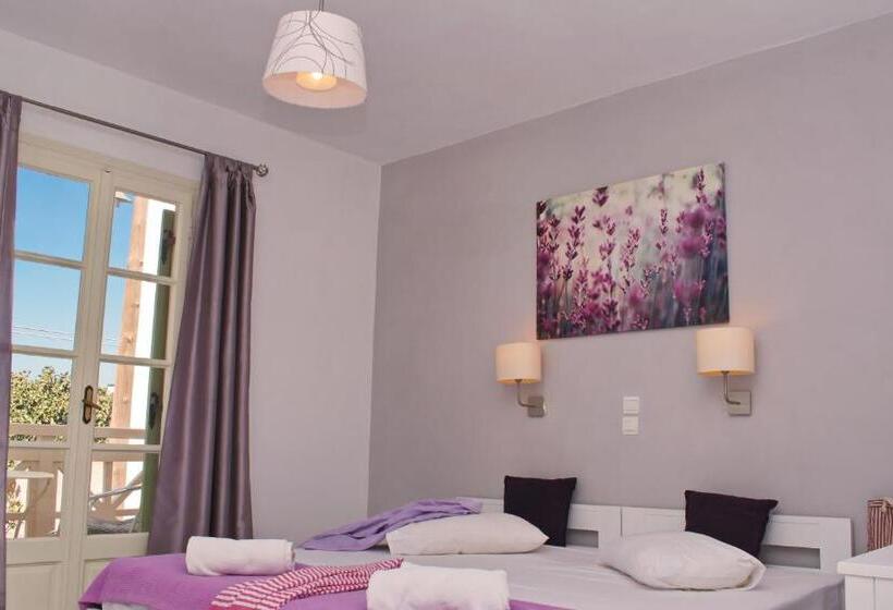 Bed and Breakfast Camara