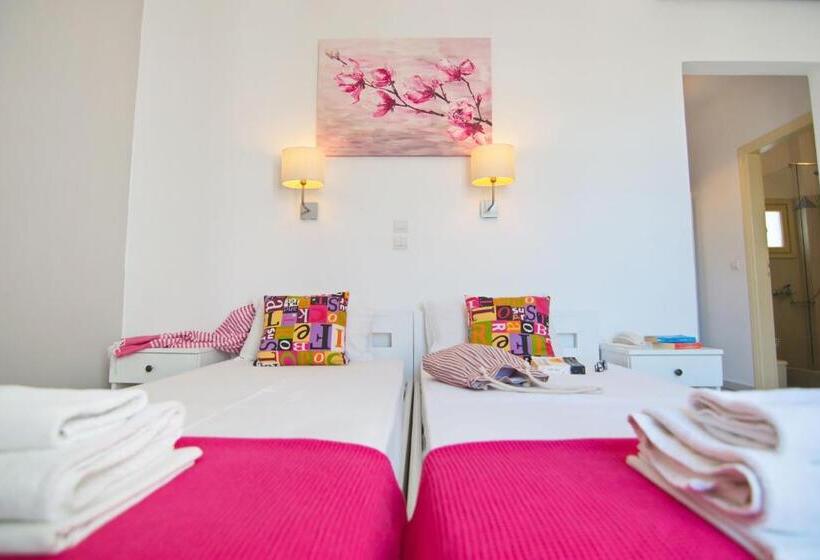 Bed and Breakfast Camara