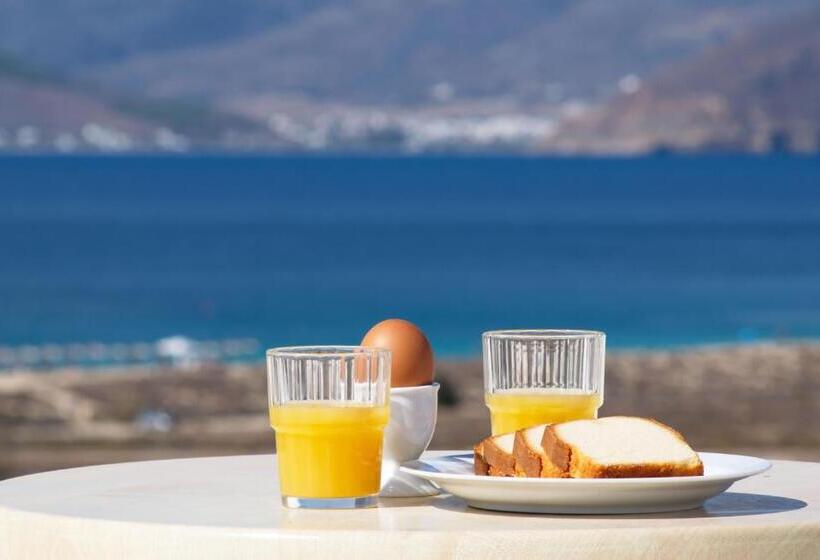 Bed and Breakfast Camara