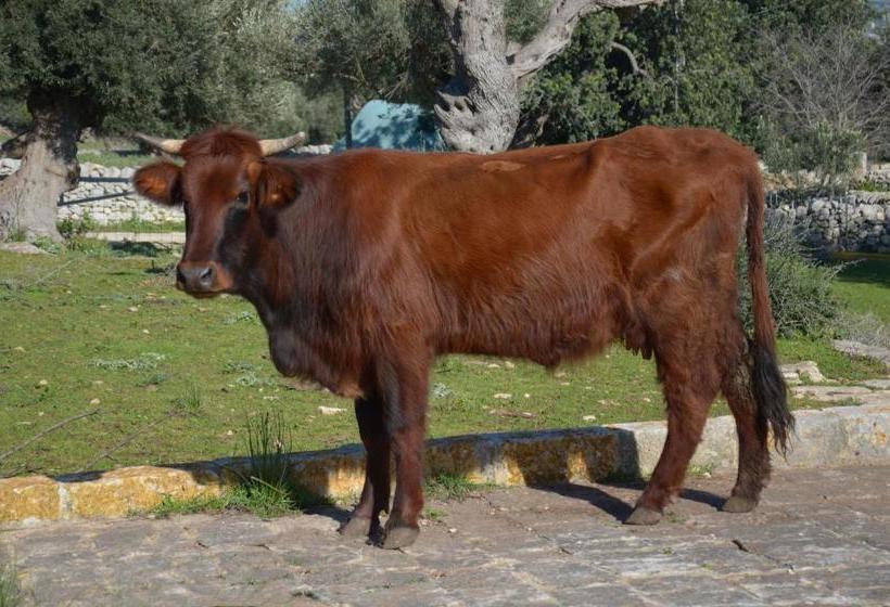 住宿加早餐  Casina Di Grotta Di Ferro