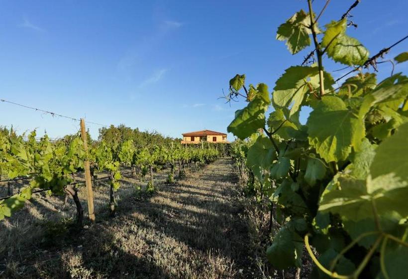 Bed And Breakfast Le Camelie