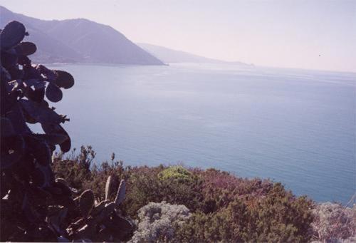 ベッドアンドブレックファースト Mare Blu