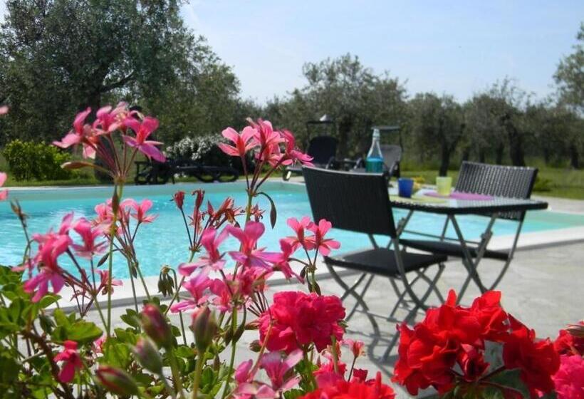 צימר Rosso Di Sera