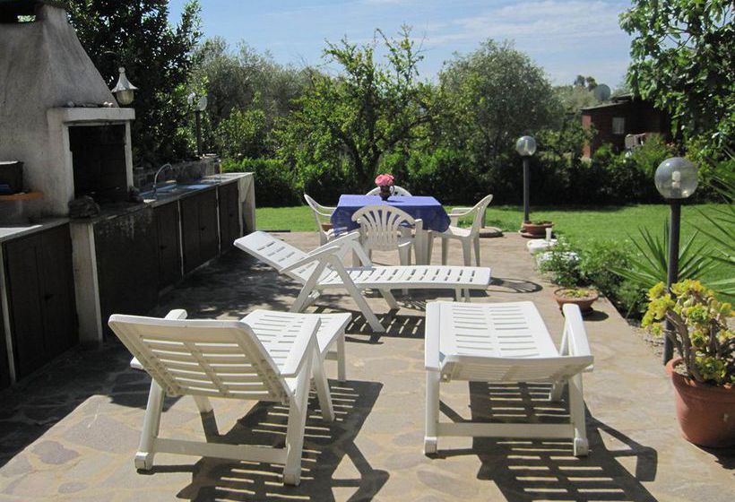 Bed & Breakfast Las Rosas