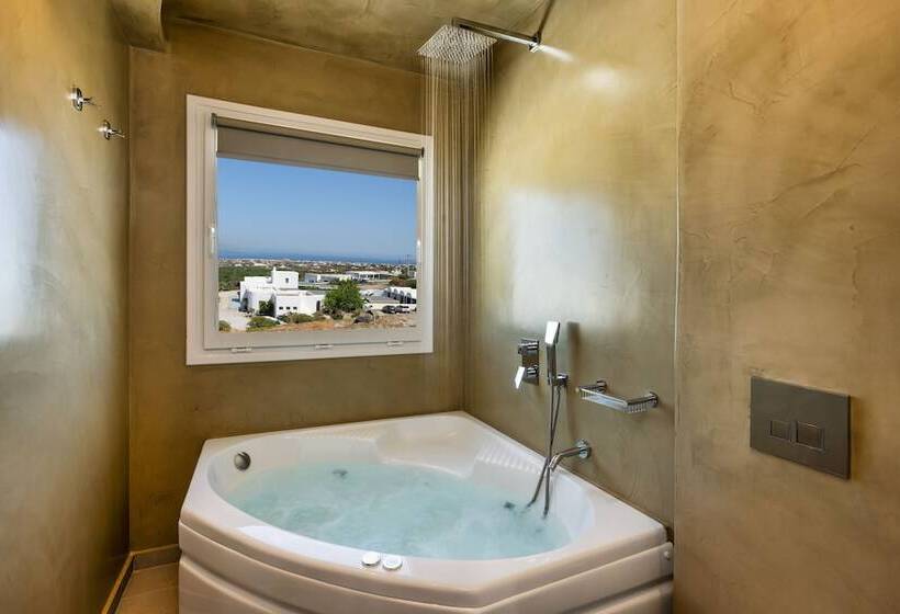 Отель Alizea Villas & Suites