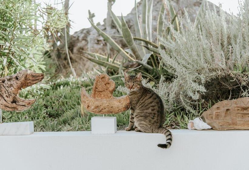 ホテル Aris Boutique