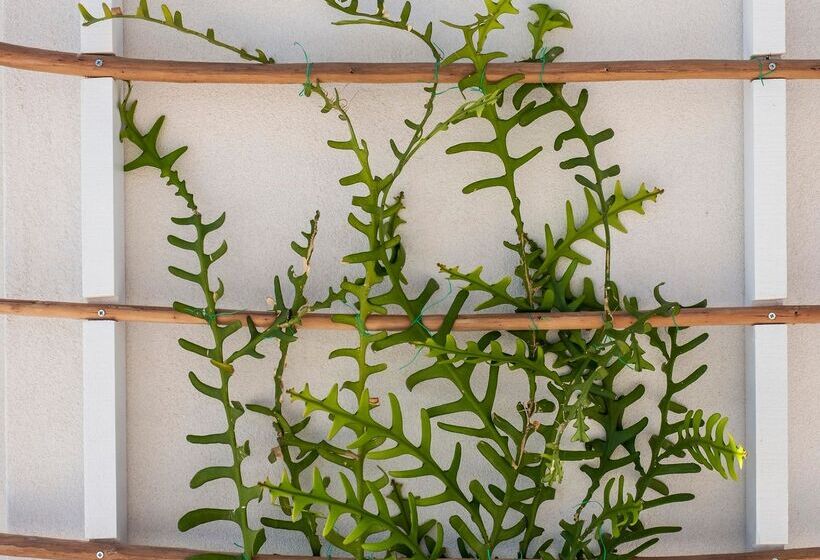 ホテル Aris Boutique