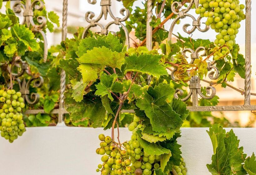 ホテル Aris Boutique