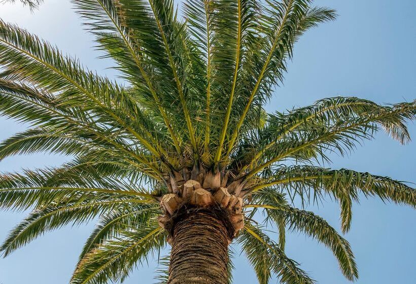 ホテル Aris Boutique