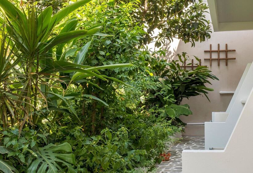 ホテル Aris Boutique