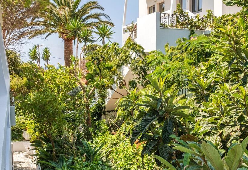 ホテル Aris Boutique