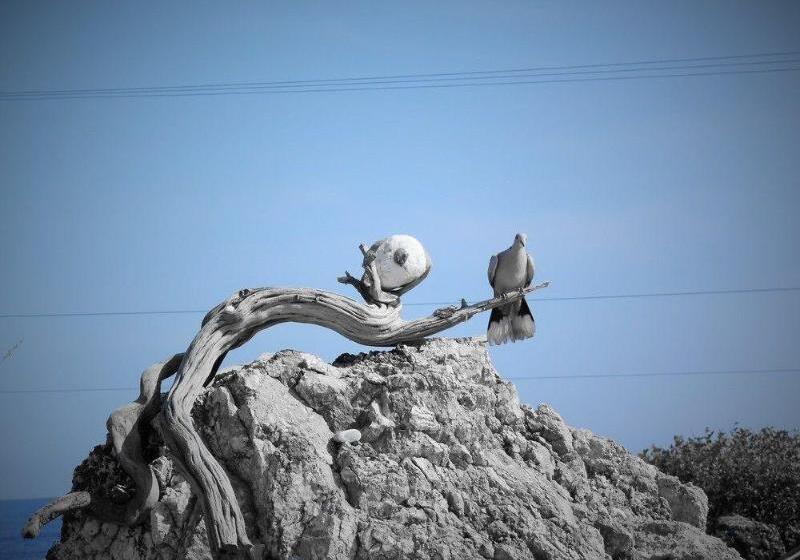 ホテル Aris Boutique