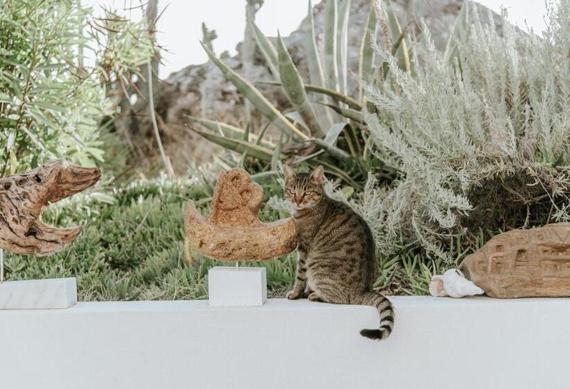 ホテル Aris Boutique