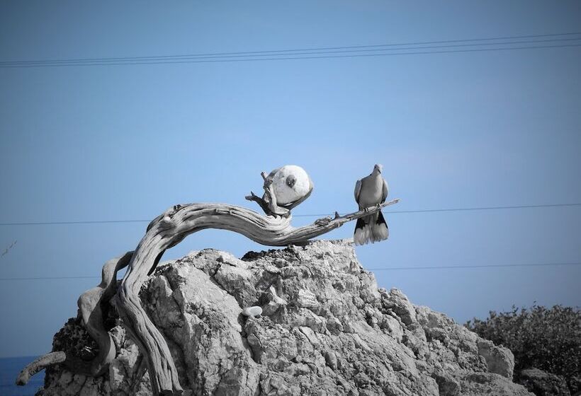 ホテル Aris Boutique