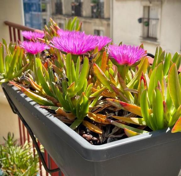 호텔 Hôtel Paul Riquet