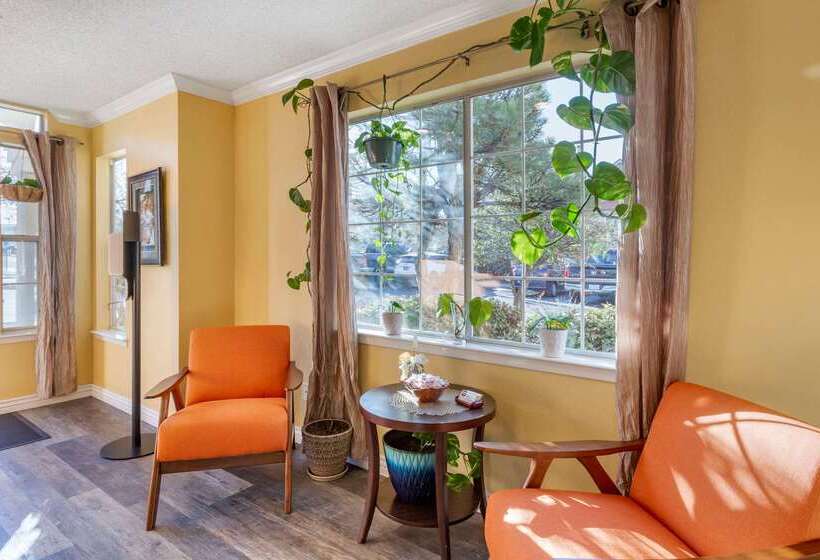 Отель Suburban Studios