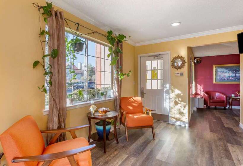 Отель Suburban Studios