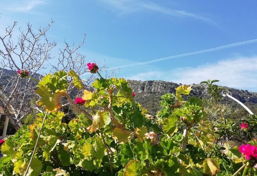 בית מלון כפרי Velasole