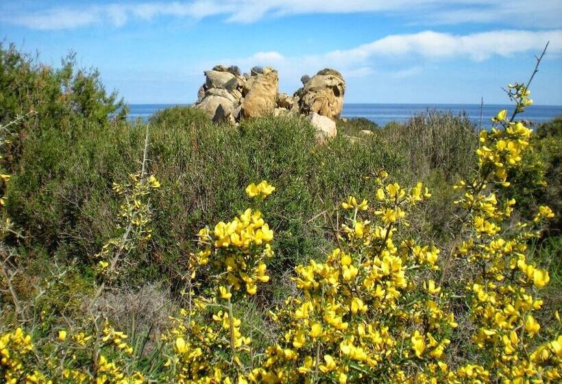 בית מלון כפרי Velasole