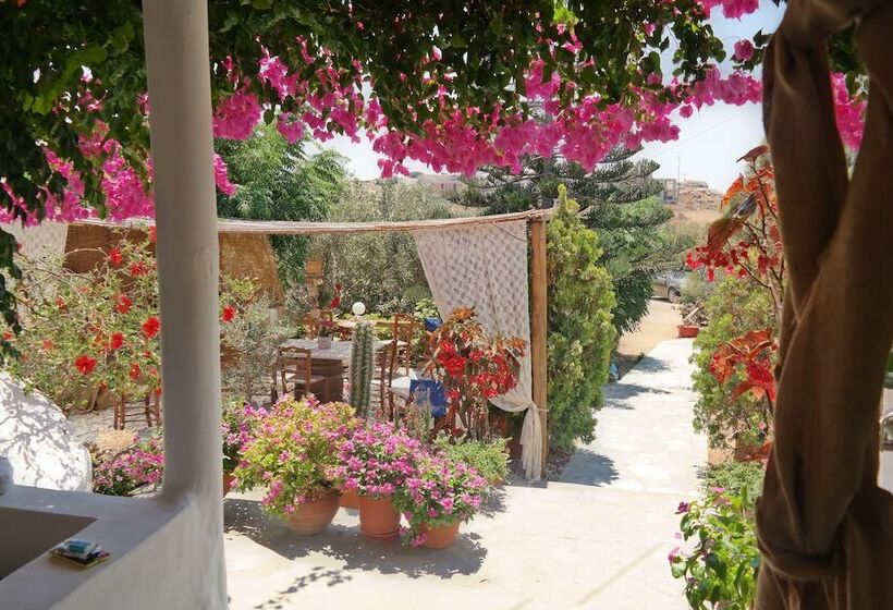 Sun Rock Boutique Suites