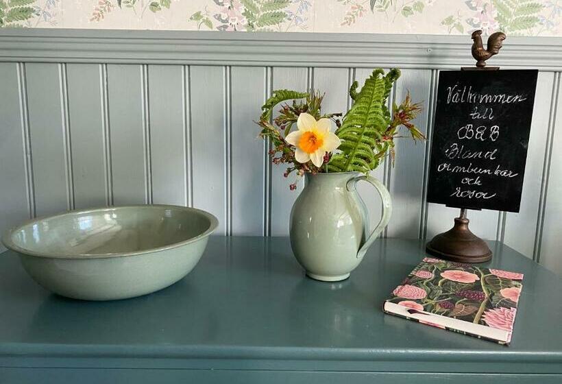 B&b Bland Ormbunkar Och Rosor