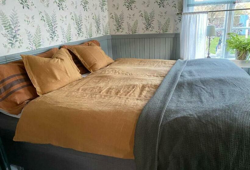 B&b Bland Ormbunkar Och Rosor