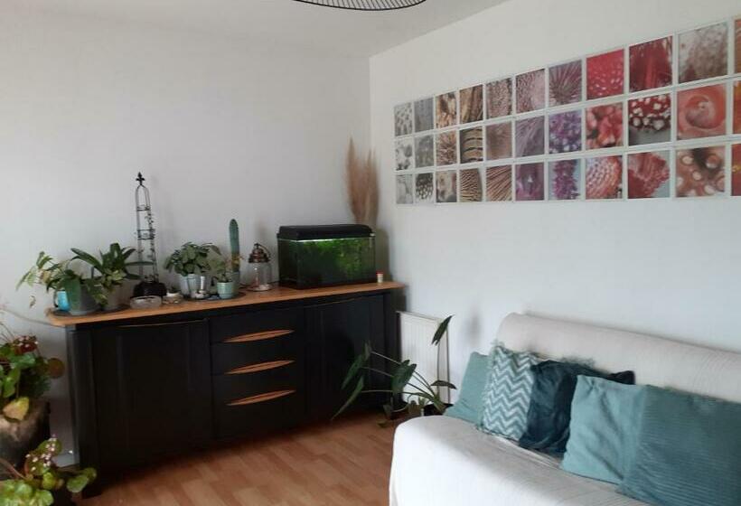 민박 Au Bosquet, Chambre Et Salle De Bains Avec Petit Déjeuner à 600 M Du Centre Dans Un Cadre Calme Et V