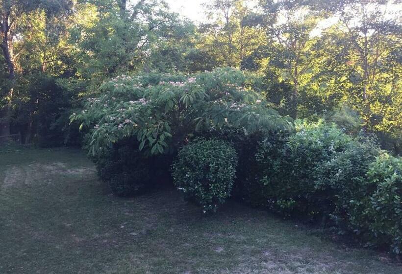 ベッドアンドブレックファースト Au Son De L Angélus