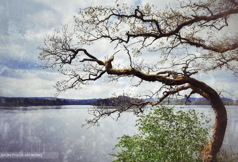 ベッドアンドブレックファースト Chambre D Hôte Le Châtaignier