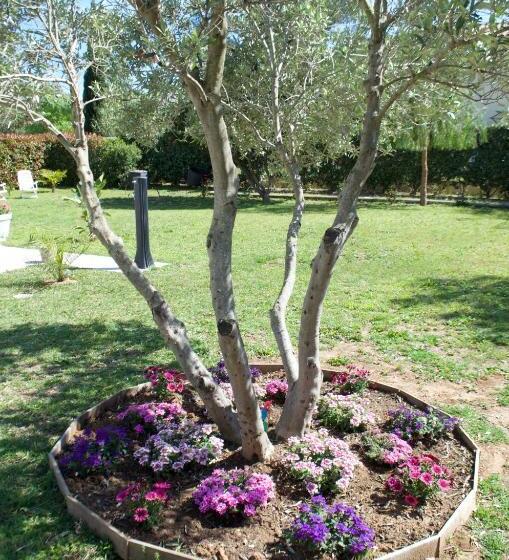 Bed and Breakfast Chambre D Hôtes De Charme Merbleuesoleil