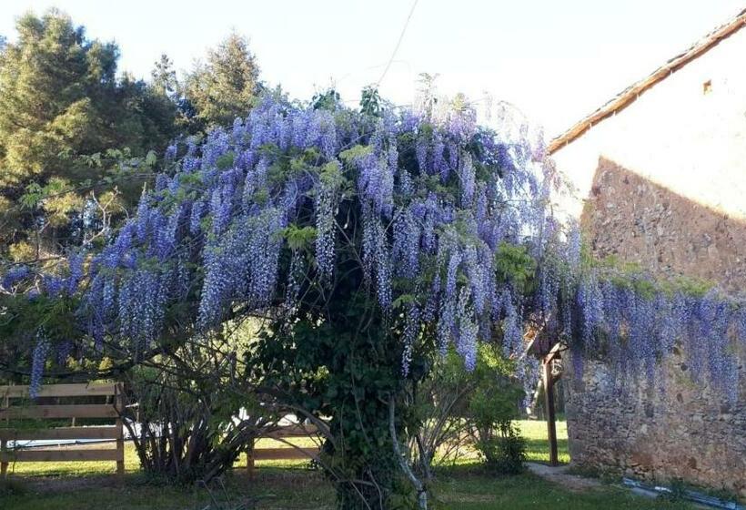 Bed and Breakfast Chambre D Hôtes Du Raoussou