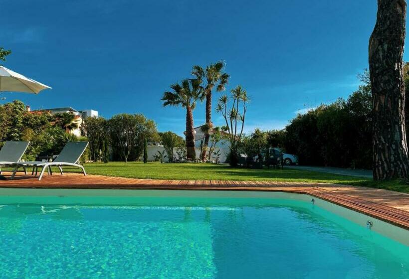 민박 Domaine Le Courti   Adult Only