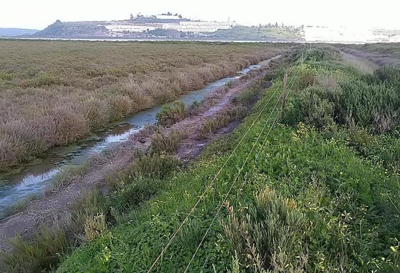 مبيت وإفطار Guesthouse Monte Francisco Baanswy   3 Quartos   Piscina Privada