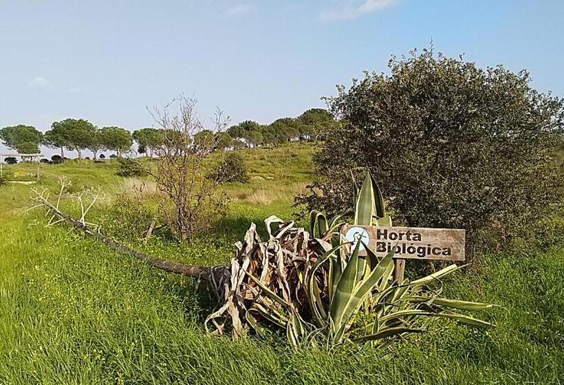 مبيت وإفطار Guesthouse Monte Francisco Baanswy   3 Quartos   Piscina Privada